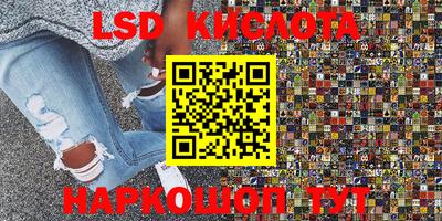 PSILOCYBIN Камышлов