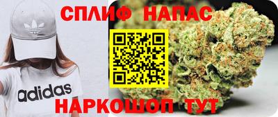 PSILOCYBIN Камышлов