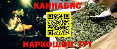 стафф Кандалакша