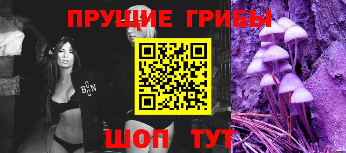 Псилоцибиновые грибы Psilocybe  Вход с VPN  Лениногорск 