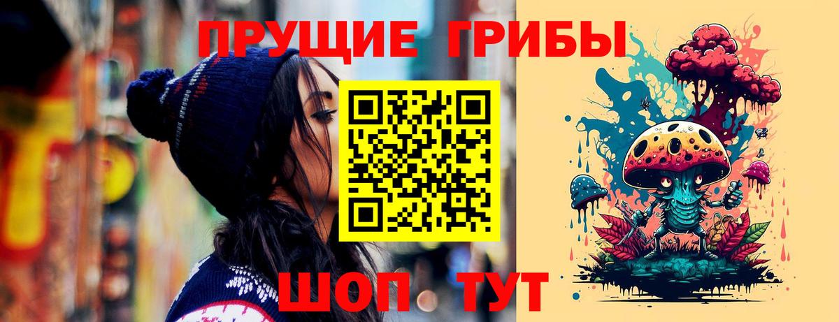 Псилоцибиновые грибы Cubensis Лениногорск